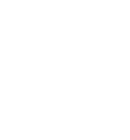 Branding Icon